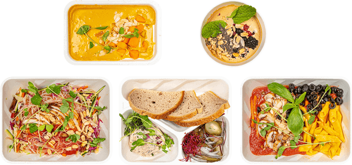 Gluten & Lacto Free Gluten & Lacto Free