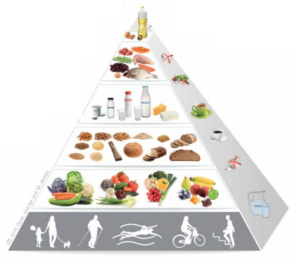 piramida żywienia dla dorosłych 2021