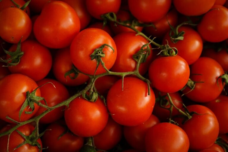 Pomidory - co mają w sobie? Właściwości pomidorów