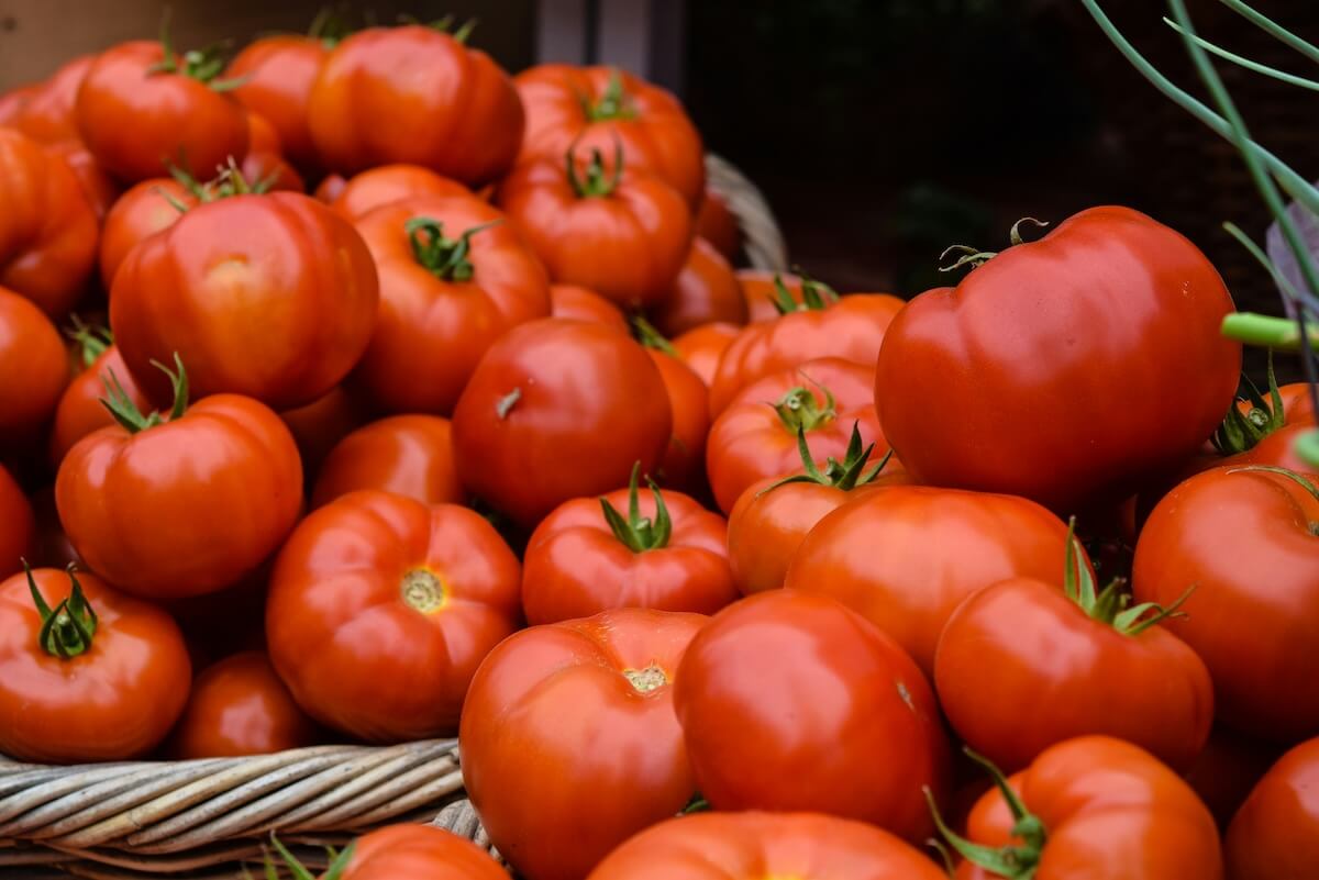 Pomidory - właściwości i przepisy