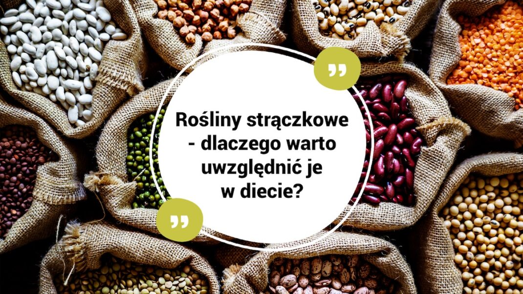 rośliny strączkowe